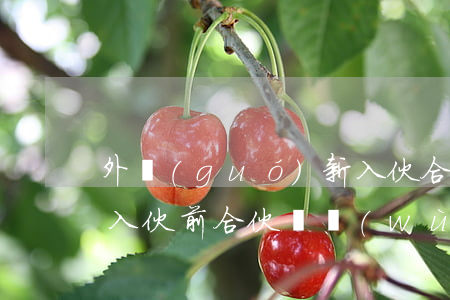 外國(guó)新入伙合伙人對(duì)入伙前合伙債務(wù)是否承擔(dān)