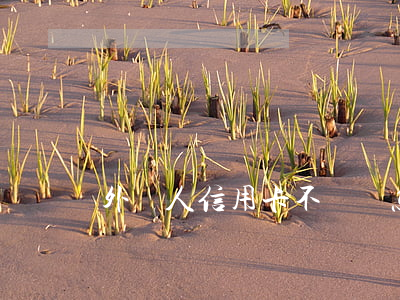 外國人信用卡不還會怎么樣