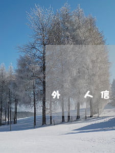 外國人信用卡逾期（在美國信用卡逾期會怎么樣）