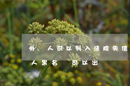 外國人可以列入法院失信名單嗎(被列入失信人黑名單可以出國嗎)