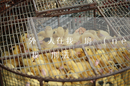 外國人在我國境內(nèi)犯罪,是否適用我國刑法