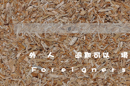 外國人簽證逾期可以離境嗎，F(xiàn)AQ: Can Foreigners with Overstayed V
