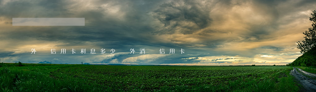 外國信用卡利息多少(國外消費信用卡)