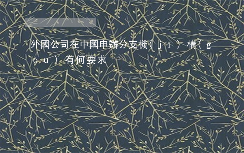 外國公司在中國申辦分支機(jī)構(gòu)有何要求