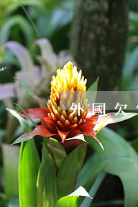 外國欠信用卡不用還（外國的信用卡還不起）
