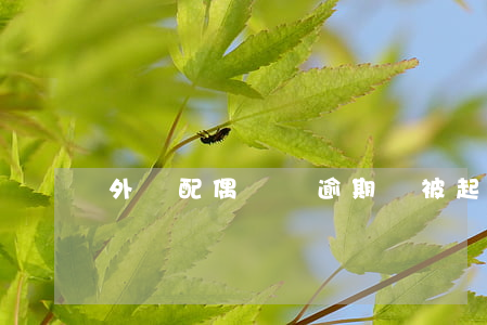 外國配偶簽證逾期會被起訴嗎
