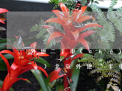 外地二手車(chē)過(guò)戶(hù)北京(外地二手車(chē)過(guò)戶(hù)北京 排放)