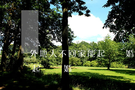外地人不回家能起訴離婚嗎(外地人不回家能起訴離婚嗎)
