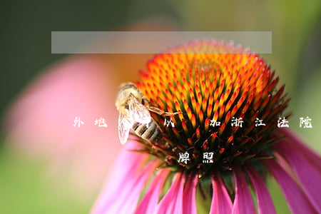 外地人可以參加浙江法院拍車嗎(杭州司法拍賣車輛帶牌照嗎)