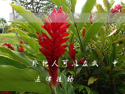 外地人可以在武漢申請法律援助嗎(湖北武漢法律援助電話)