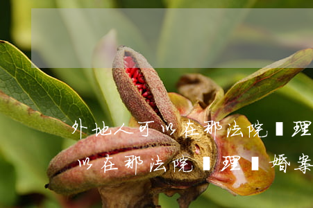 外地人可以在那法院辦理離婚案嗎(外地人可以在那法院辦理離婚案嗎)