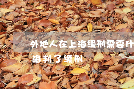 外地人在上海缓刑需要什么手续(外地人在上海判了缓刑)