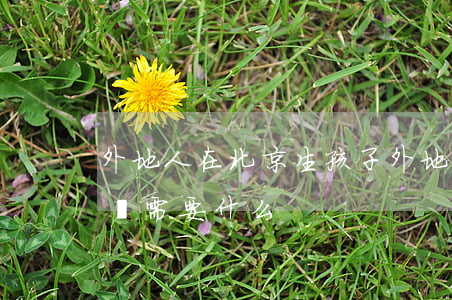 外地人在北京生孩子(外地人在北京生孩子建檔需要什么)