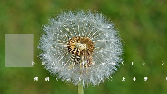 外地人如何申請免費(fèi)法律援助(如何網(wǎng)上申請異地法律援助)