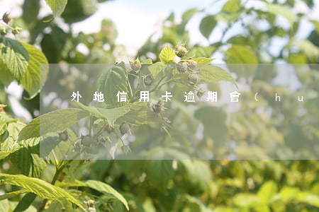 外地信用卡逾期會(huì)怎么處理