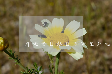外地借錢起訴去哪里 外地借錢起訴去哪里