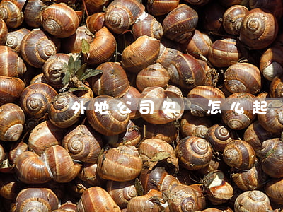 外地公司欠錢怎么起訴(外地公司欠錢怎么起訴)