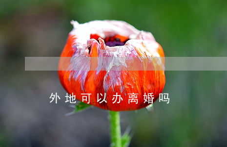 外地可以办离婚吗