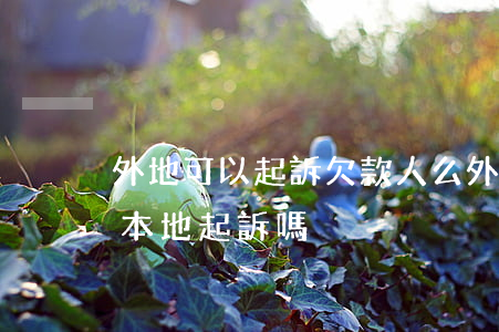 外地可以起訴欠款人么(外地人欠貨款可以在本地起訴嗎)