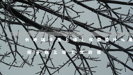 外地孩子在上海上学需要什么条件(外地户口孩子在上海上学政策)