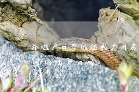 外地户口可以继承广州房产吗(广州有房产证可以迁户口吗)