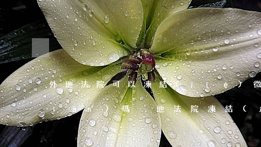 外地法院可以凍結(jié)微信零錢(qián)嗎(異地法院凍結(jié)微信支付)