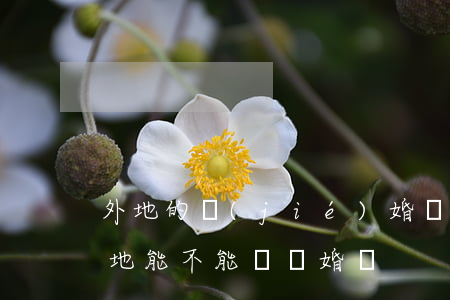 外地的結(jié)婚證五一可以離婚嗎(異地能不能辦離婚證)