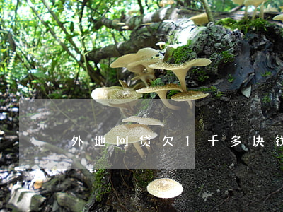 外地网贷欠1千多块钱能上门吗-