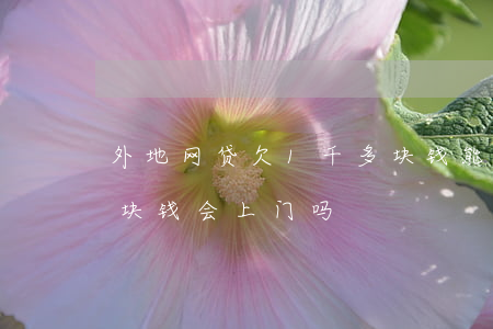 外地网贷欠1千多块钱能上门吗(欠网贷几百块钱会上门吗)