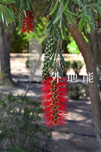 外地能不能辦離婚