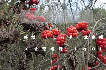 外地車(chē)北京限行(外地車(chē)北京限行區(qū)域)