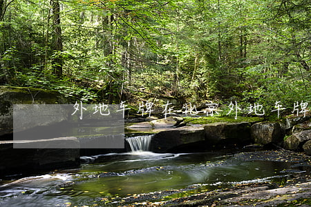 外地车牌在北京(外地车牌在北京能开多少天)