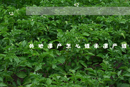 外地遗产怎么继承(遗产继承公证在哪里办)
