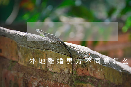 外地離婚男方不同意怎么辦