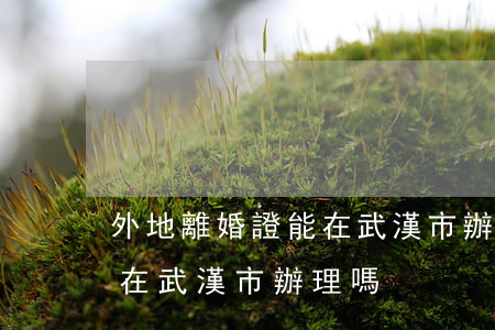 外地離婚證能在武漢市辦理嗎(外地離婚證能在武漢市辦理嗎)