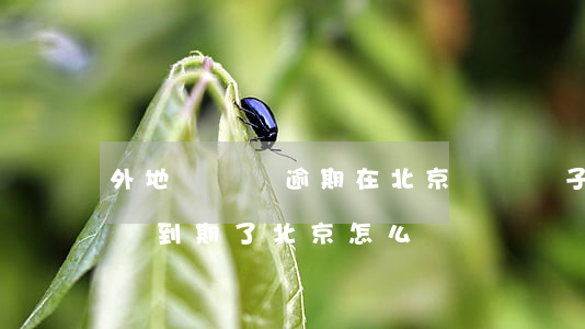 外地駕駛證逾期在北京換證電子版(外地駕駛證到期了北京怎么換證)