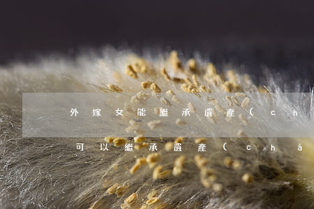 外嫁女能繼承遺產(chǎn)嗎(婚外生子可以繼承遺產(chǎn)嗎)