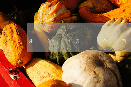 外孫能繼承房產嗎(外孫有權利繼承外婆的房產嗎)