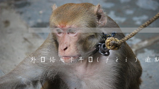 外幣信用卡年費(fèi)逾期