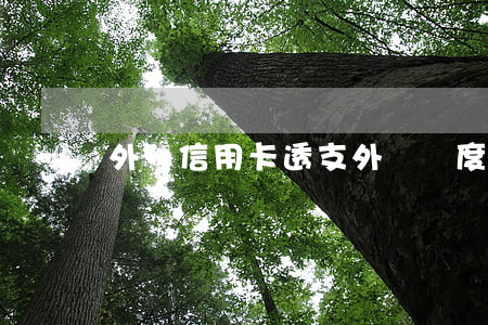 外幣信用卡透支外匯額度(外匯匯款額度)