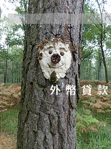 外幣貸款逾期利率0(外幣貸款逾期利率0)
