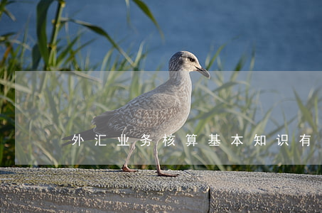 外汇业务核算基本知识有哪些