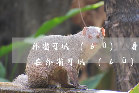外省可以補(bǔ)辦身份證嗎(身份證丟失在外省可以補(bǔ)辦身份證嗎)