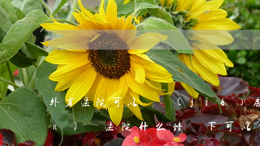 外省法院可以凍結(jié)房產(chǎn)嗎(法院什么情況下可以凍結(jié)房產(chǎn))