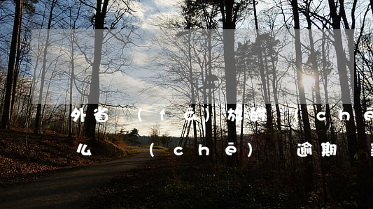 外省發(fā)放的車(chē)貸逾期怎么辦 車(chē)輛逾期貸款怎么辦