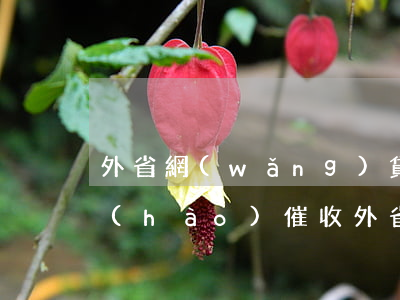 外省網(wǎng)貸本地手機(jī)號(hào)催收(外省網(wǎng)貸本地手機(jī)號(hào)催收)