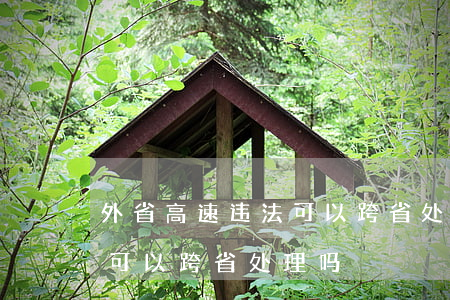 外省高速违法可以跨省处理吗(外省高速违法可以跨省处理吗)