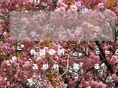 外祖母的遺產(chǎn)怎么繼承(母親后去世外孫能繼承遺產(chǎn)嗎)