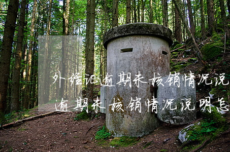 外经证逾期未核销情况说明怎么写-外经证逾期未核销情况说明怎么写啊