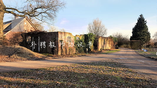 外聘教师协议书
